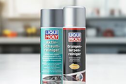 Starkes Reinigungsduo für Haushalt & Werkstatt