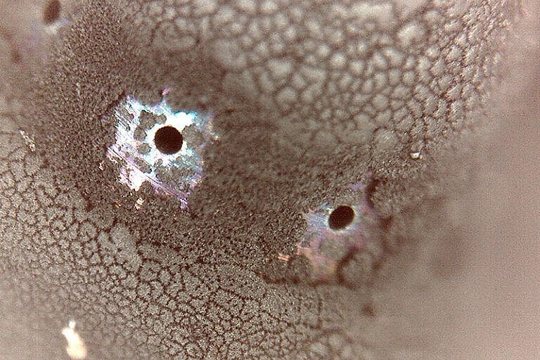 Otwory rozpylacza końcówki wtryskiwacza po czyszczeniu.