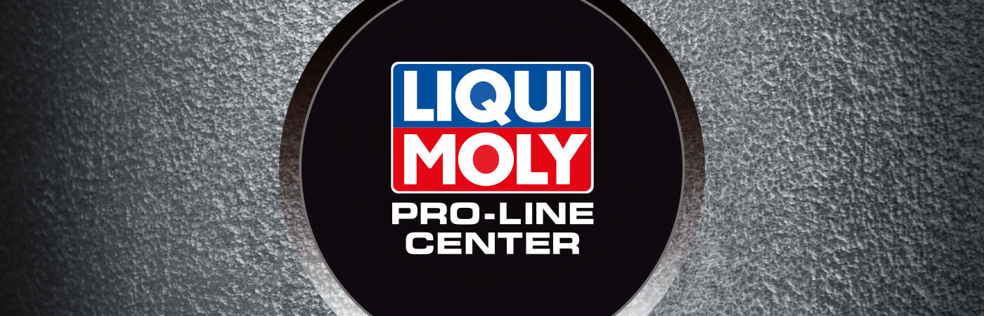 Liqui Moly 2425 Pro-Line Motorspülung 10x 1l = 10 Liter