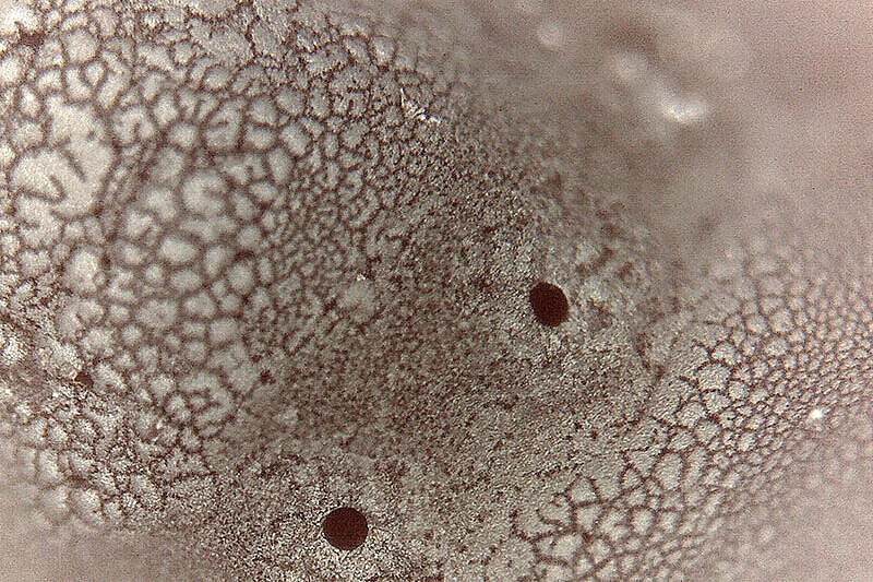 Otwory rozpylacza końcówki wtryskiwacza przed czyszczeniem.