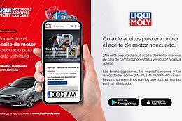 Ahora solo necesita la matrícula para identificar el aceite LIQUI MOLY correcto