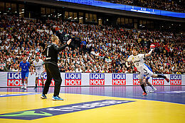 Handball-WM in Deutschland mit LIQUI MOLY