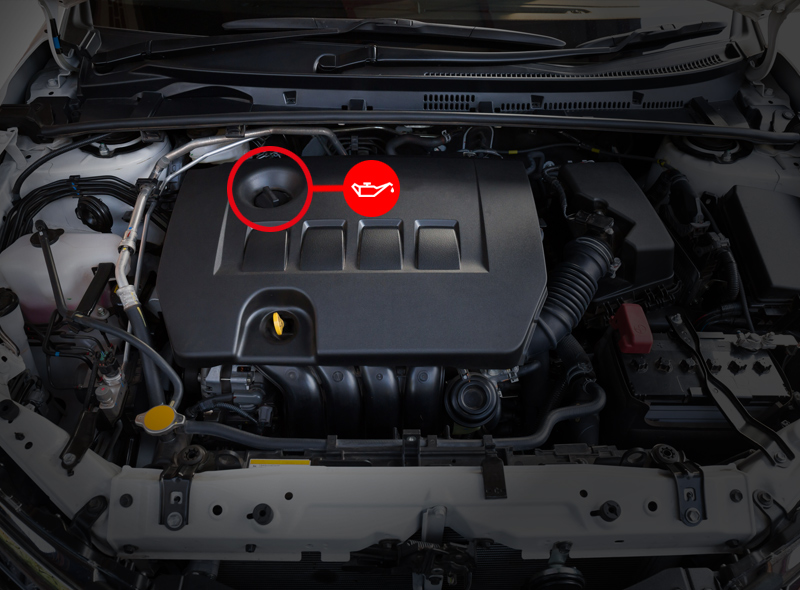 Faq Liqui Moly