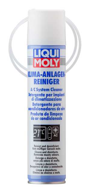 A/C System Cleaner (Spray)