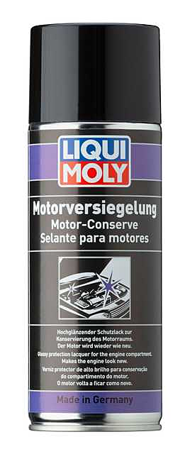 Liqui Moly Motor Innenkonservierer Motorreiniger Korrosionsschutz